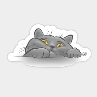 Curious cat Sticker